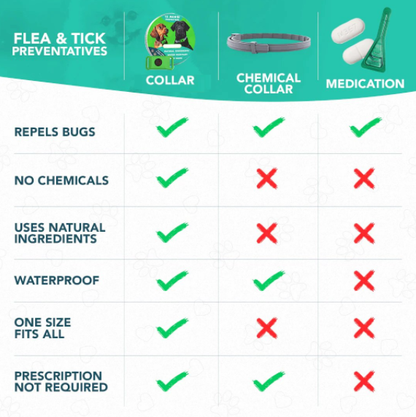 ⏰Last Day 66% OFF-🐕12 Months Flea and Tick Free