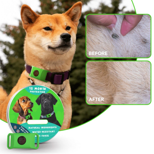 ⏰Last Day 66% OFF-🐕12 Months Flea and Tick Free