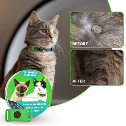 ⏰Last Day 66% OFF-🐕12 Months Flea and Tick Free