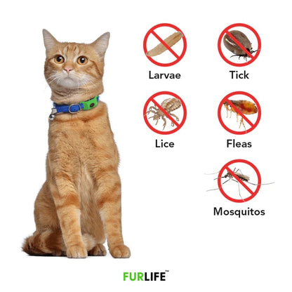⏰Last Day 66% OFF-🐕12 Months Flea and Tick Free