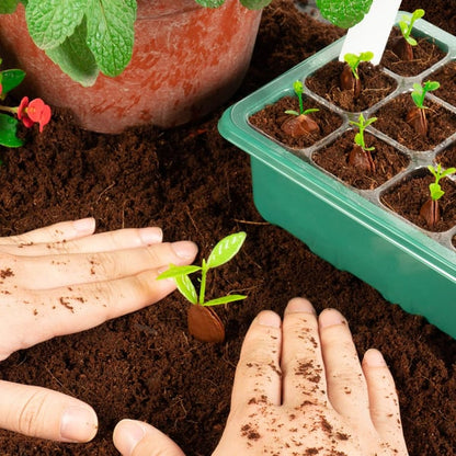 Adjustable Humidity Seed Starter Trays