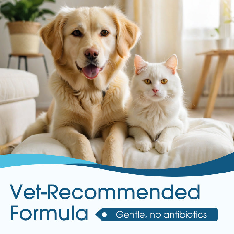 🏆 Last Day Special Price ! 🐱Buy 2 Get 1 Free🐶 Ear cleaner, Relieves itching in dogs & cats