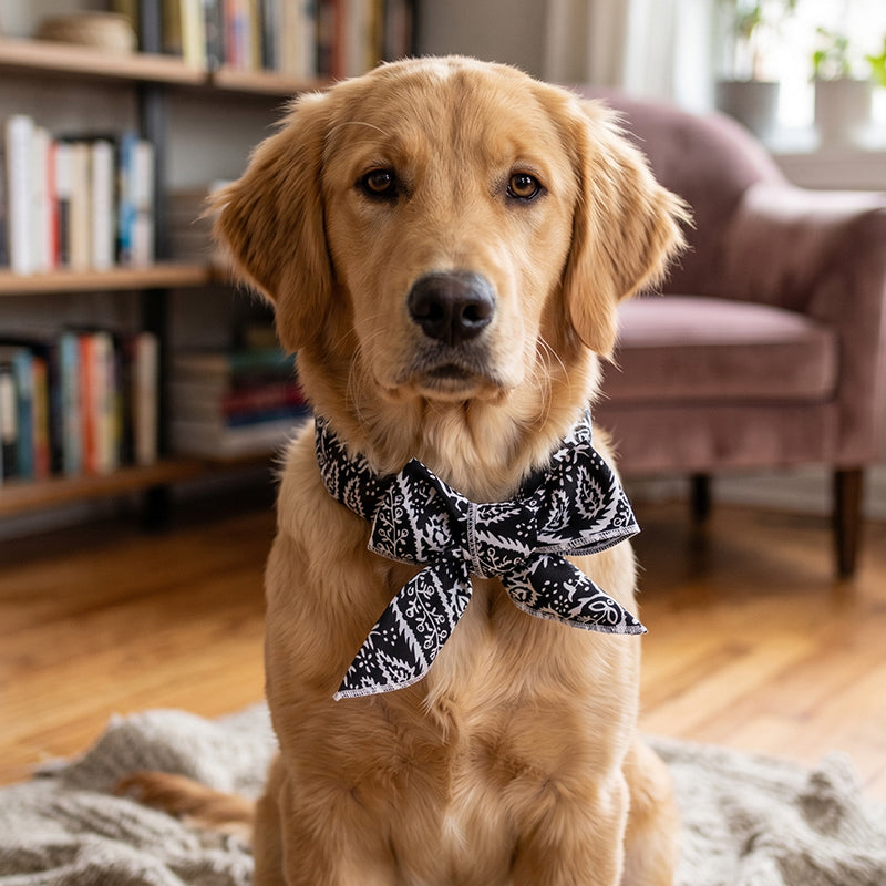 ⏳Time-Limited Special⏰Summer Pet Cooling Collar Wrap